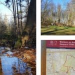 Ausflugstipp zum Wochenende: TERRA.track Riemsloher Wald