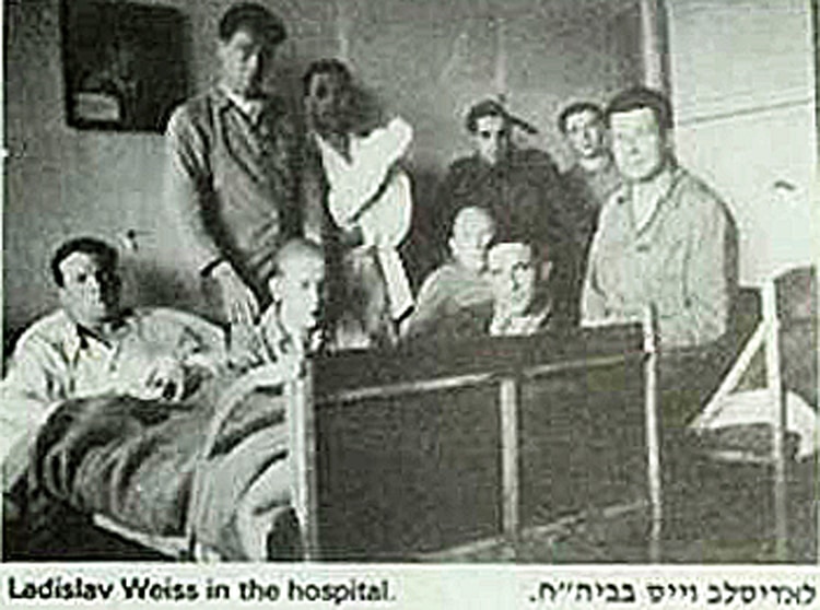 Ladislav Weiss im Krankenhaus (Infocenters) - Jüdisches Museum Belgrad