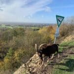 Teutoschleife Canyon Blick 2