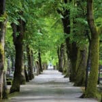 Friedhof2