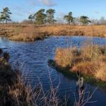 vennermoor