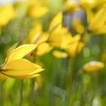 Amrum_2023_c_AngelavonBrill_ (102)