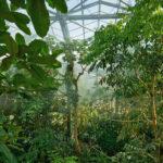Botanischer-Garten – Manfred Pollert