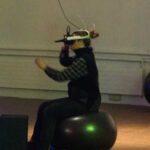 EMAF 2024 VR 72