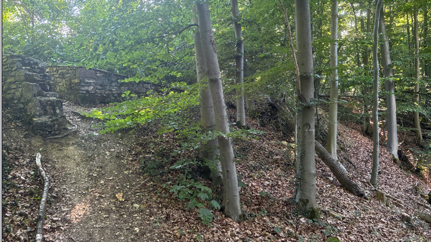Wallanlagen, damals viel höher, sind noch heute deutlich zu erkennen.