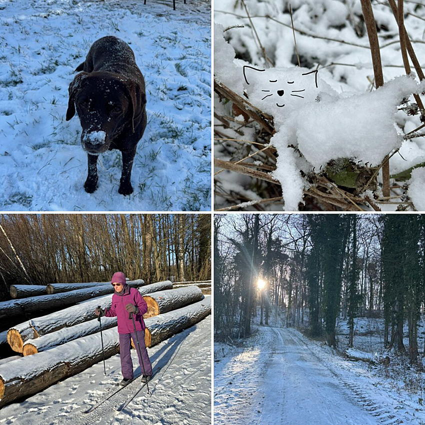 Schnee-os-kids Schnee-os-kids